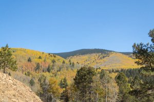 20201020FallColors2020149.jpg